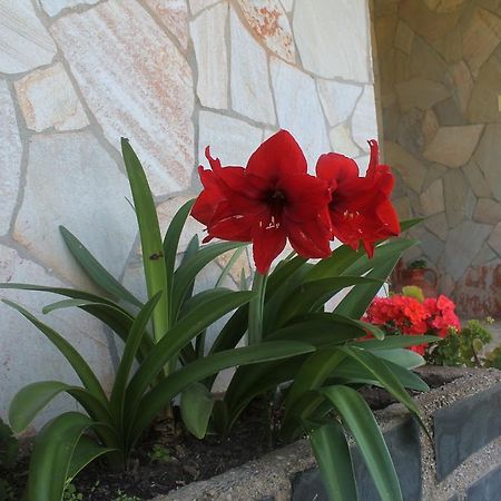 Pension Riego De Ambros Екстериор снимка