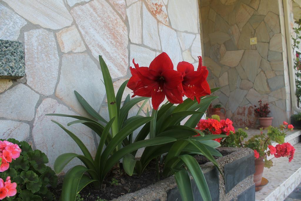 Pension Riego De Ambros Екстериор снимка